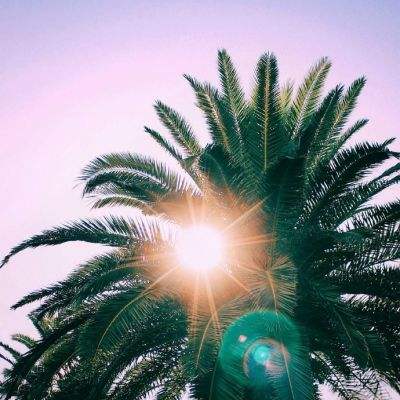 欢乐斗牛腾讯app下载