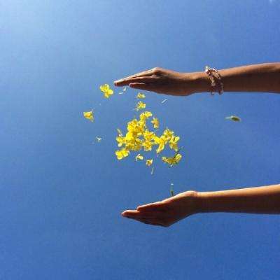 江南app体育截图