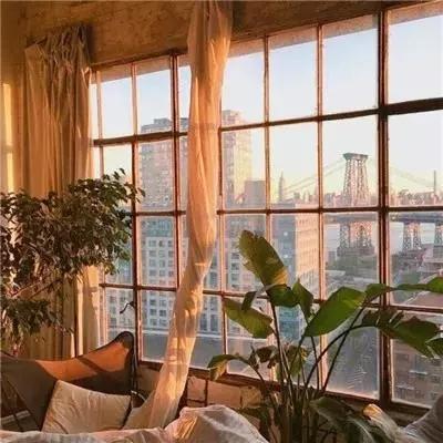 江南app体育截图