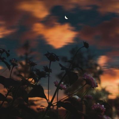 电玩城金鲨银鲨