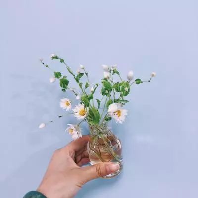 bat365在线唯一官网登录