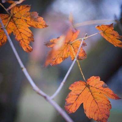 爱游戏官方app下载