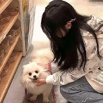 b体育手机版官网最新版本下载手机app下载